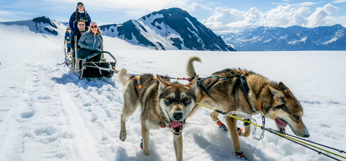 Alaska Helicopter Tours