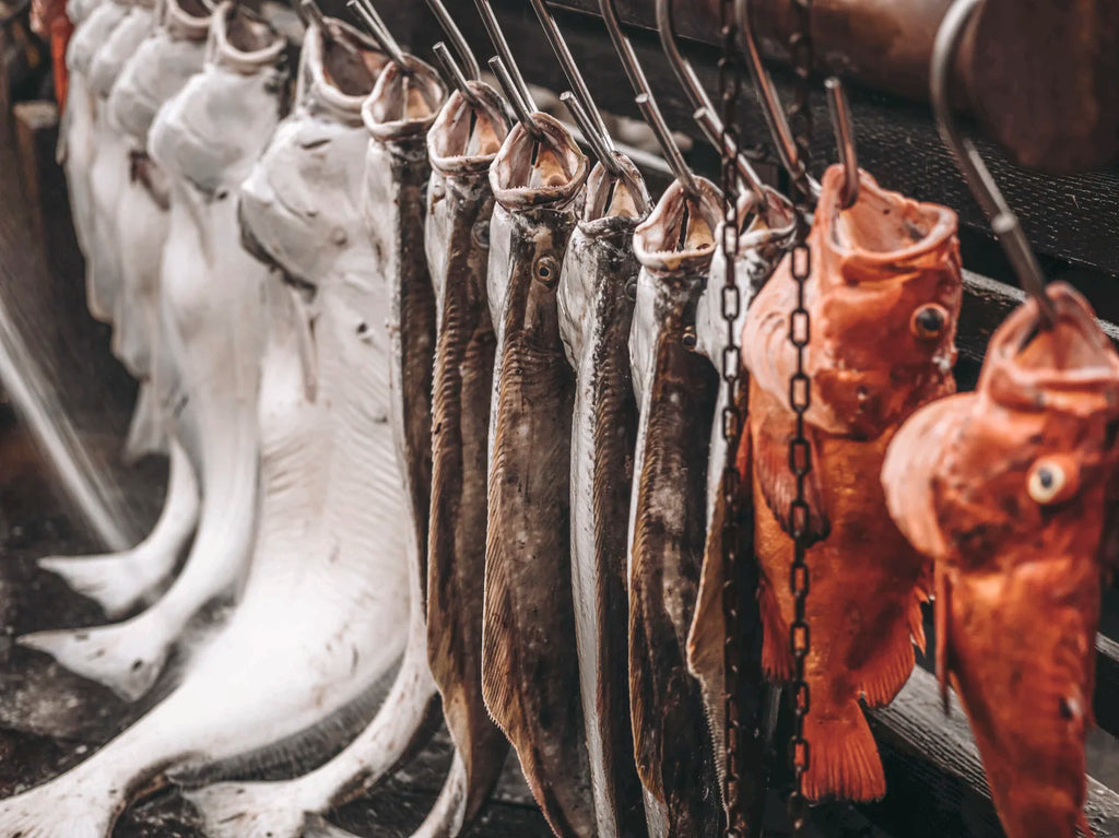 JDock Fishing Charters