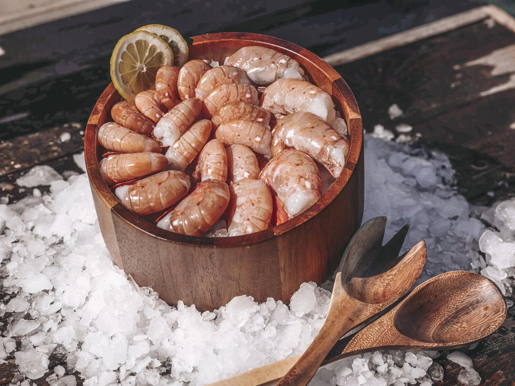 JDock Fishing Charters