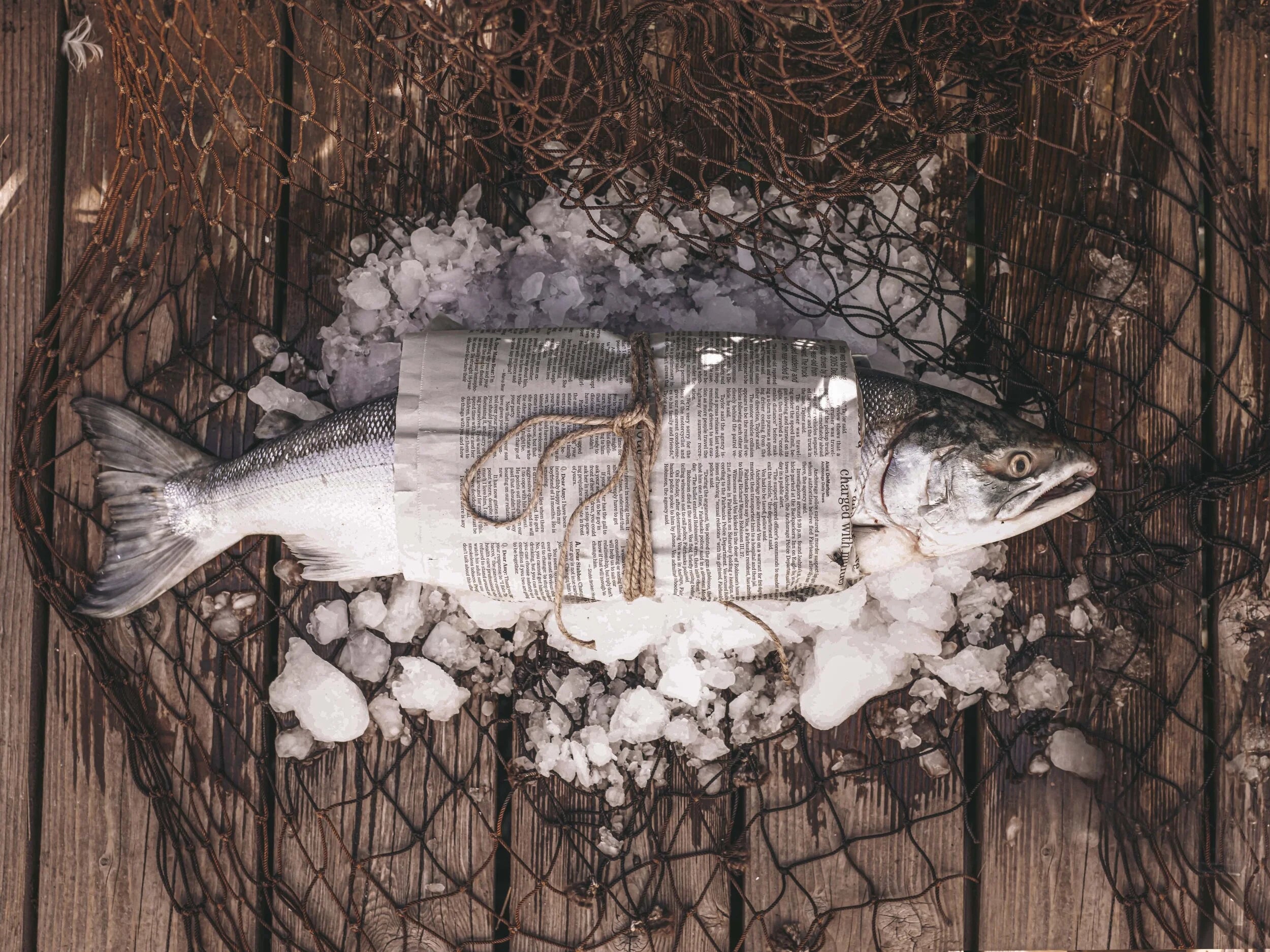 JDock Fishing Charters