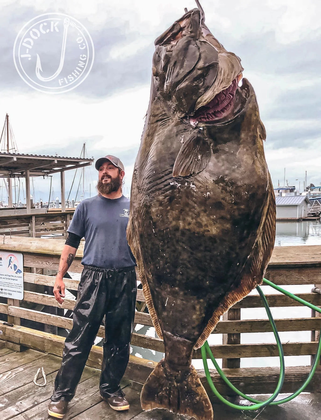 JDock Fishing Charters