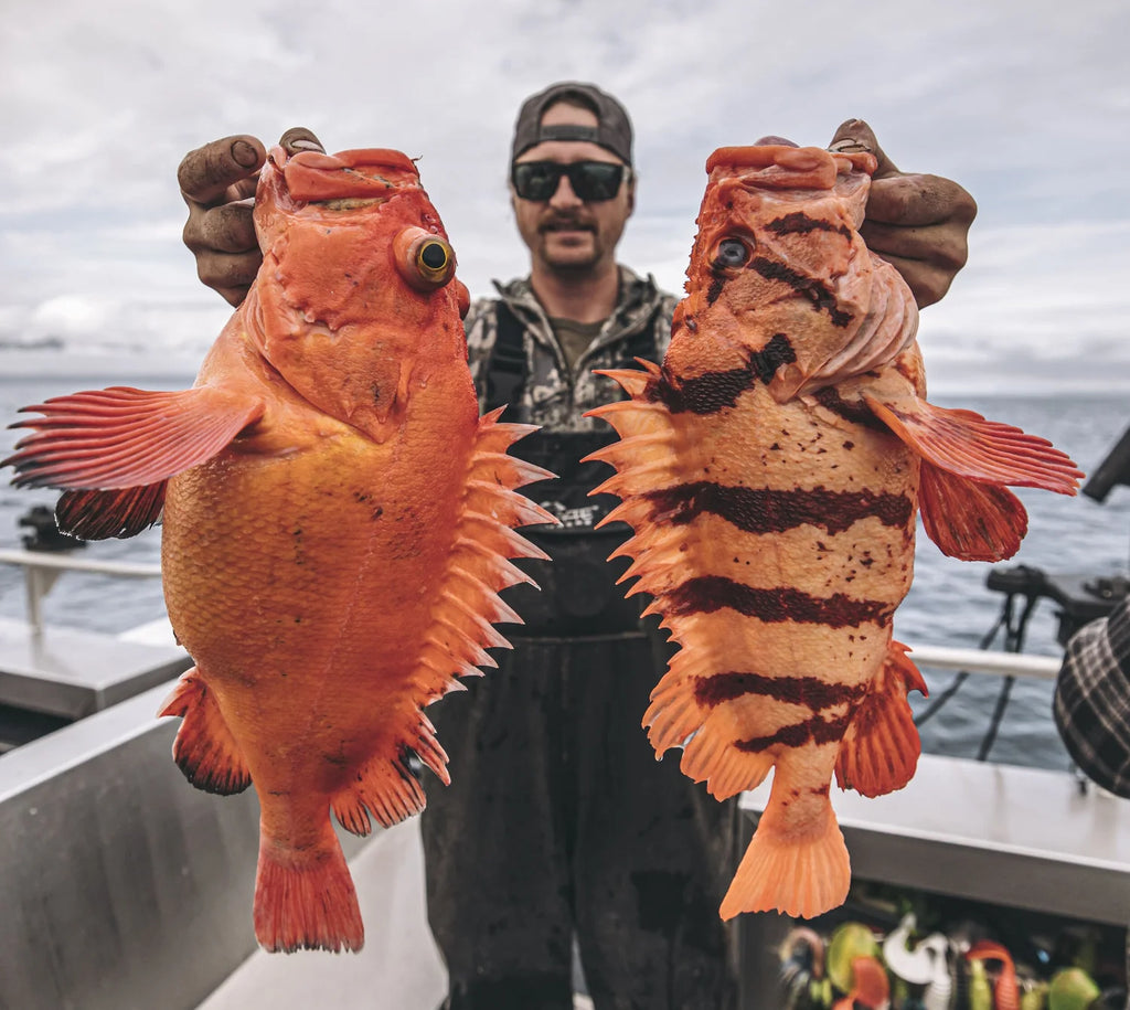 JDock Fishing Charters