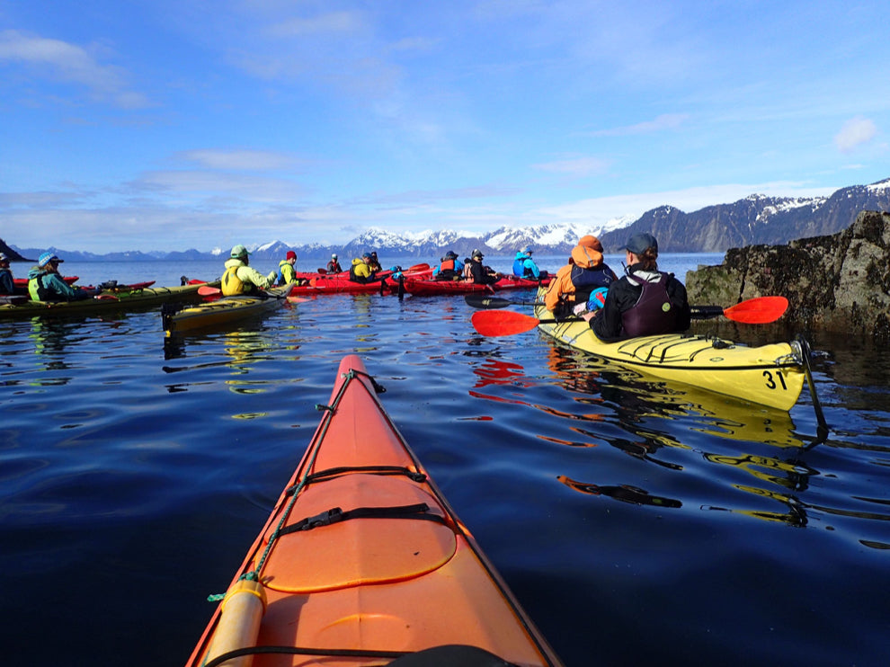 Sea Kayaking - Half Day Resurrection Bay Tour