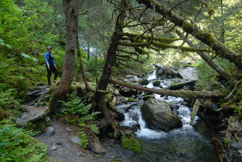 Sea Kayaking -Caines Head Kayak & Hike Adventure