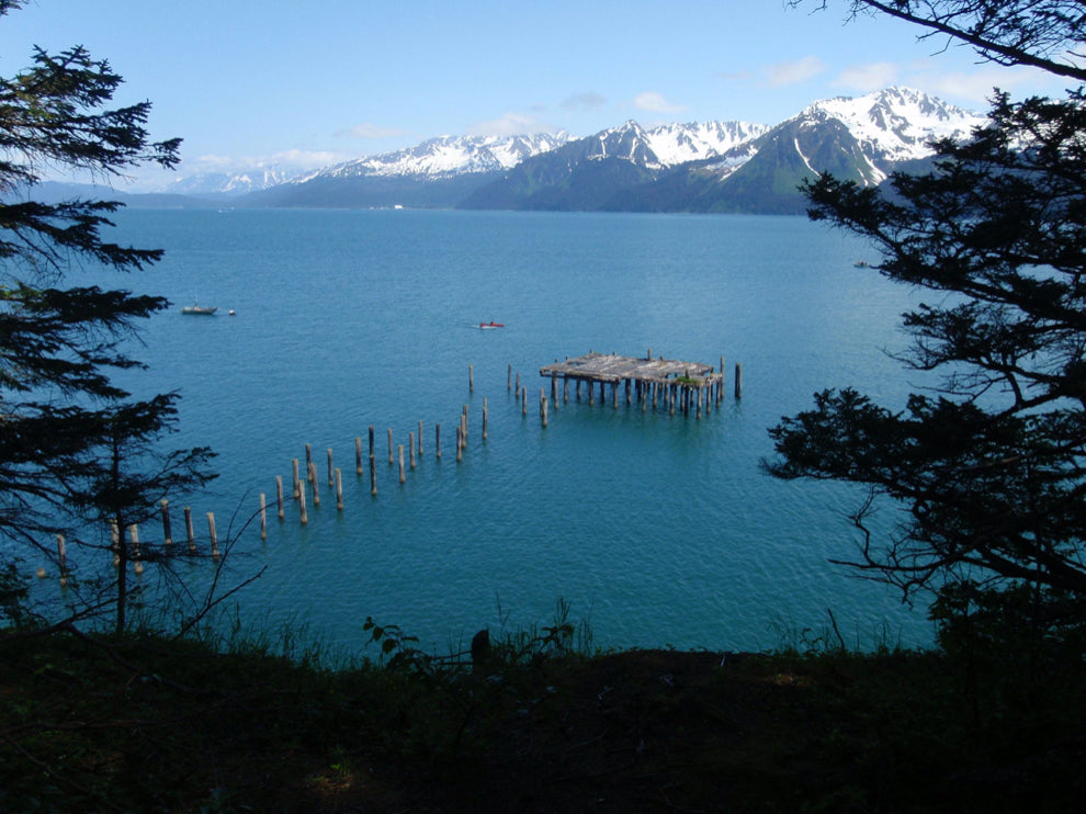 Sea Kayaking -Caines Head Kayak & Hike Adventure