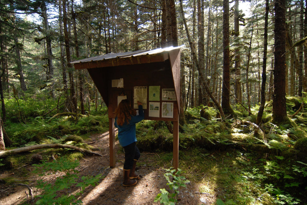 Sea Kayaking -Caines Head Kayak & Hike Adventure