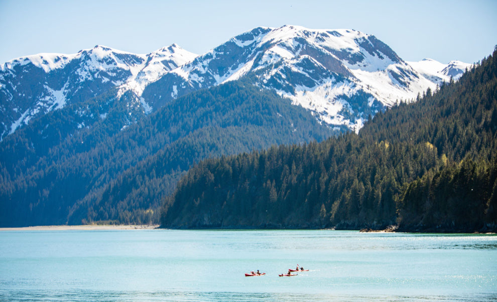 Sea Kayaking -Tonsina Point Kayak & Rainforest Exploration